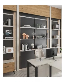 Гардеробная система Практик Home Офис 1