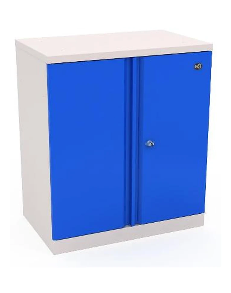 Шкаф инструментальный ERGO 181/2 №7 купить в Челябинске