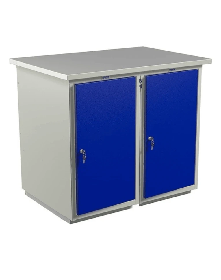 Верстак Profi WT100.WD1/WD1.000 купить в Челябинске