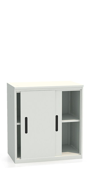 Шкаф-купе архивный ALS-8896 купить в Челябинске