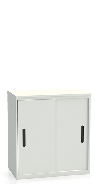 Шкаф-купе архивный ALS-8896 купить в Челябинске